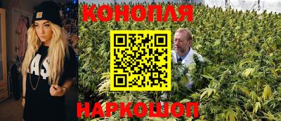 крисы Гусь-Хрустальный