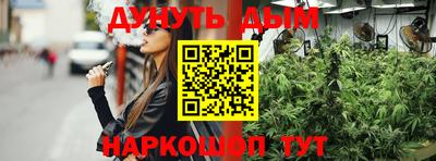 шишки Гусиноозёрск