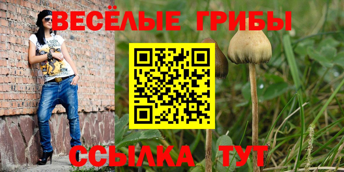Кировск  Галлюциногенные грибы Psilocybe  как найти закладки  Вход с VPN 