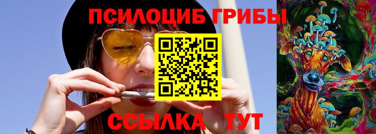 Псилоцибиновые грибы мухоморы Кировск